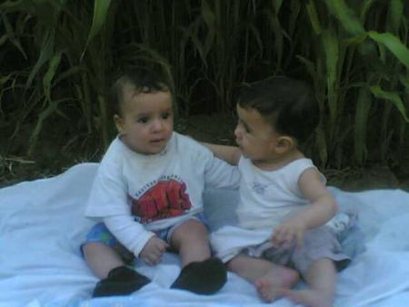 ali et  souliman