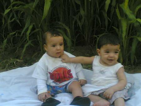 ali et  souliman